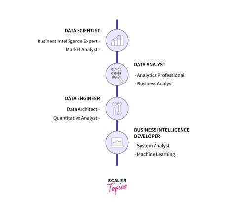 The Data Scientist Career Path A Complete Guide Scaler Topics