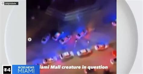 Aliens Bring Miami Shopping Centre To Standstill As Cops Hunt 8ft