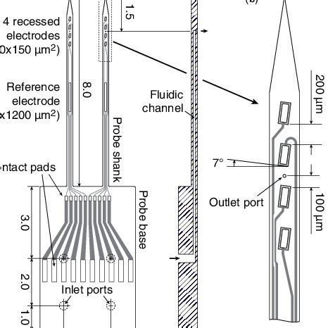 Microprobe layout. (a) Top and side view of the microprobe comprising... | Download Scientific ...