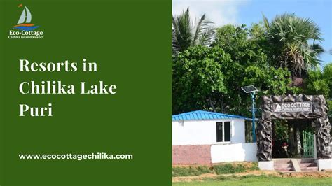 Resorts In Chilika Lake Puri By Digitaldadi Issuu