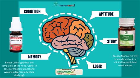 Top Homeopathy Remedies For Seniors Alzheimers And Aging Support