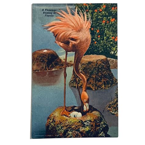 Flamingo plaza en hialeah offers the best deals on vintage clothing 30