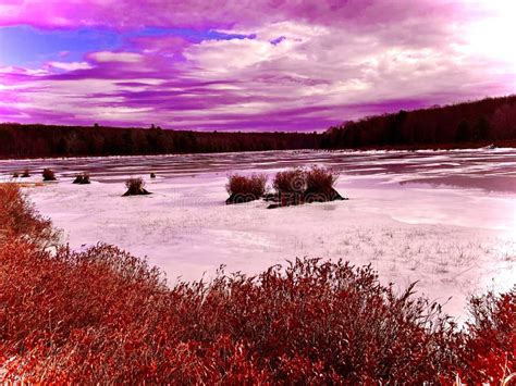 Winter Snow Nature Images in Pennsylvania Stock Image - Image of ...