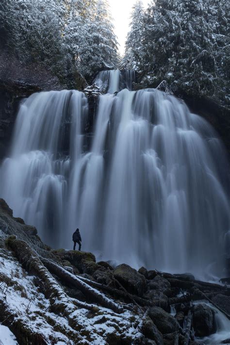MichaelPocketList: Friend admiring an Oregon giant [OC] [2000x3000]