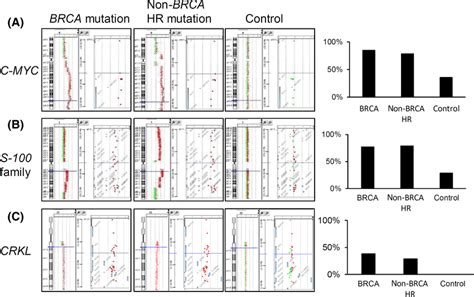 Representative Array Comparative Genomic Hybridization Acgh Profiles