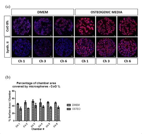 Characterisation Of HMSC PG Microsphere Behaviour In Absence Of Manual