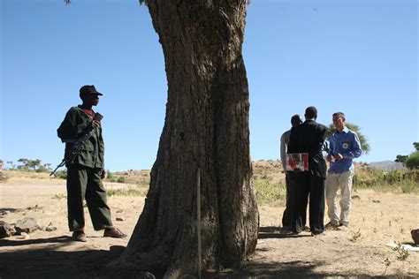 D Couvrez La Grille De Naivasha Comment Tirer Parti De Votre R Seau