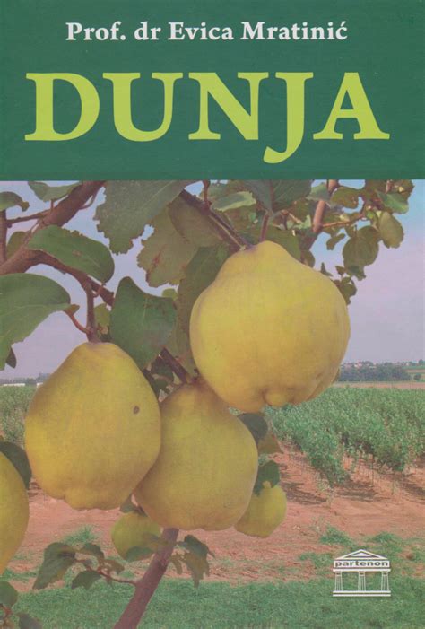 Dunja
