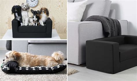 Design E Comfort In 10 Letti Per Cani CasaFacile