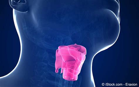 Kehlkopfentz Ndung Symptome Ursachen Behandlung Meine Gesundheit