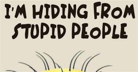 Shhhh I M Hiding From Stupid People Minions Rule Pinterest Dr