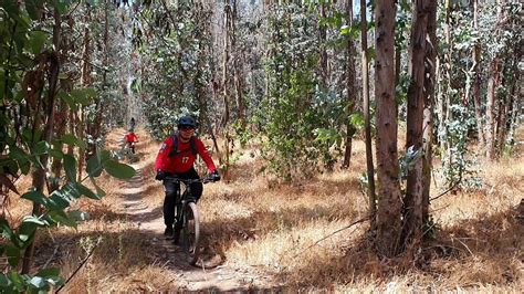 CICLISMO MTB BIKE PARK AGUAS CLARAS YouTube