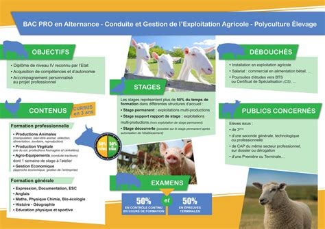 Conduite Et Gestion De L Exploitation Agricole Cgea Option