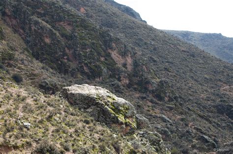 Ecosistema Terrestre Matorral Bajo Tropical Andino De Fabiana Ramulosa