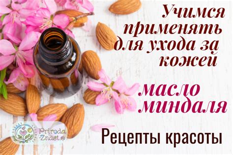 Миндальное масло для лица: как правильно использовать, применение от ...