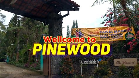 Libur Lebaran Pinewood Lodge Organic Farm Cisarua Bogor Dekat