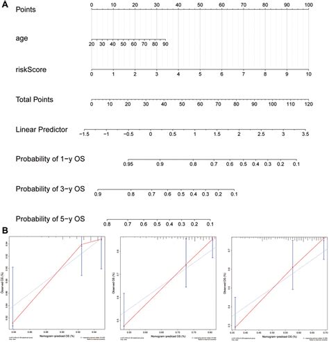 Prognostic Characteristics Of A Six Gene Signature Based On SsGSEA In