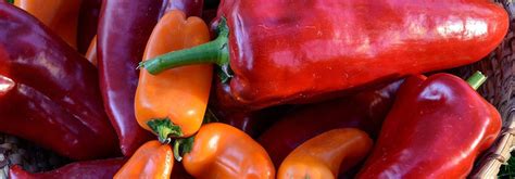 Paprika – Furti's Hofladen