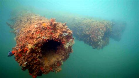 Uncover the Mysteries Behind the Ships Lost at Pearl Harbor