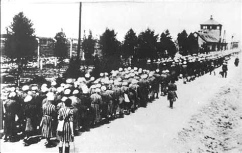 Ravensbruck Women's Concentration Camp | Jewish Women's Archive