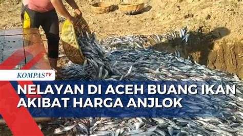 Harga Jual Anjlok Nelayan Terpaksa Buang Ikan Tangkapan YouTube