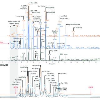 Gc Ms Total Ion Current Tic A And Irms Mass B Traces Of