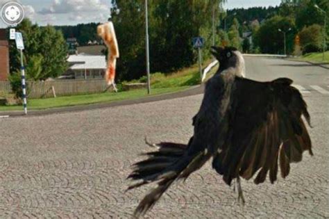 25 WTF Moments Caught On Google Street View Mashable