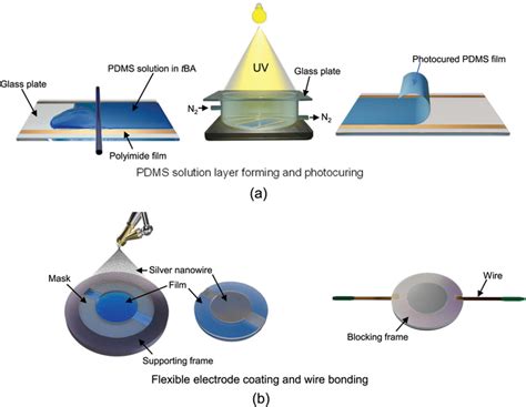 A Formation Of A Photocured PDMS Film And B Fabrication Of An