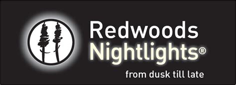 Redwoods Nightlights | Redwoods Treewalk Rotorua