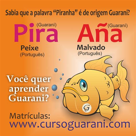 Prepararte para los exámenes de guaraní ahora es más fácil – Plataforma