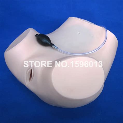 Gynecological Examination Training Model Vaginal Examination Model