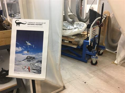 New fossil finds – Antarctic Peninsula Paleontology Project