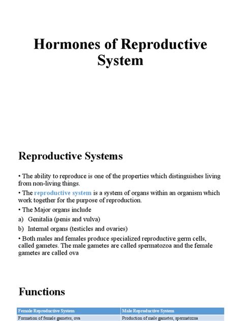 41 Sex Hormones C Patho Pdf Luteinizing Hormone Ovary