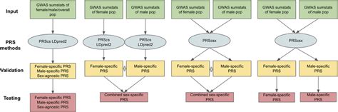 Overview Of The 11 Prss Considered The Inputs Are Female Specific