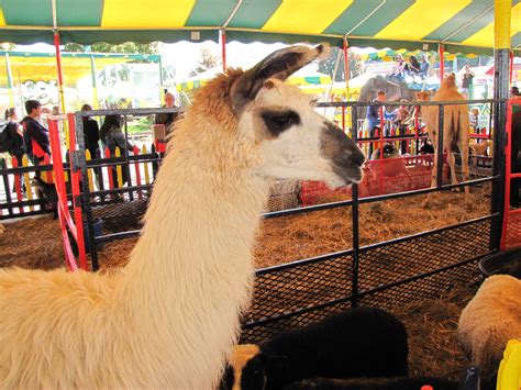 The Big E New Englands Great State Fair Wanderwisdom