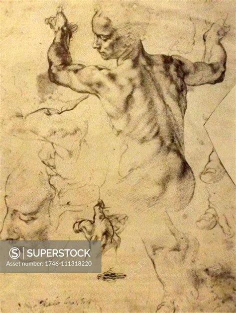 Incomplete Sketch Of The Libyan Sibyl In The Sistine Chapel By