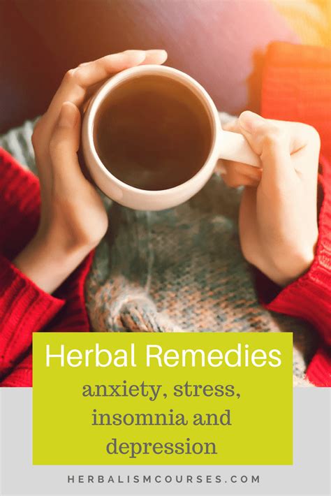 Top Herbs For Stress Anxiety And Insomnia Effective Herbal Remedies