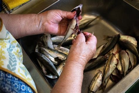 Primer Plano De Las Manos De Una Anciana Limpiando Peces Foto De