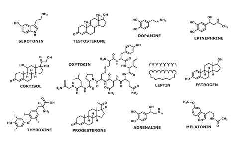 S Mbolos De L Nea De Estructura De F Rmula Molecular De Hormonas