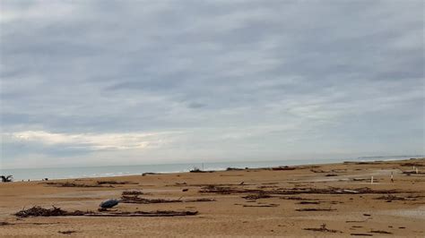 Il Corpo Senza Vita Di Una Donna Trovato Sulla Spiaggia A Bibione