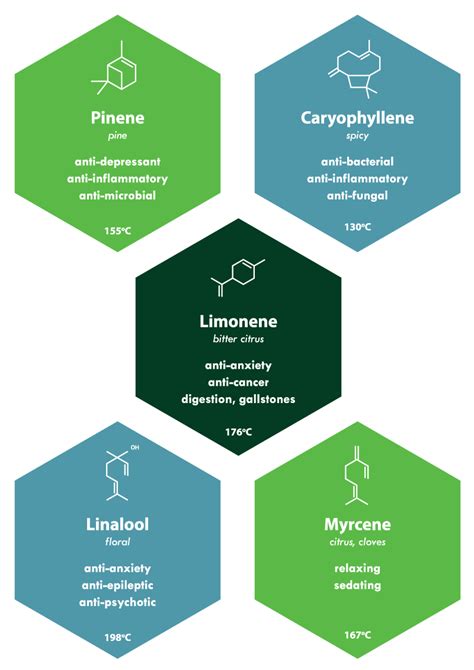 What Are Cannabis Terpenes? | Comm Ave Canna