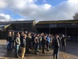 Sba Farm Walk Knockenjig Farm Sanquhar News Scottish Beef