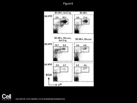 In Vivo Ablation Of Surface Immunoglobulin On Mature B Cells By