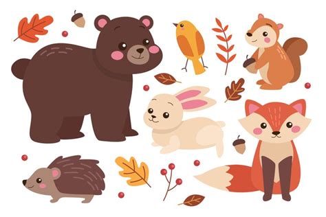 Autumn Forest Animals Collection