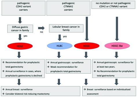 Clinical Practice In Individuals With Positive IGCLC Criteria HDGC