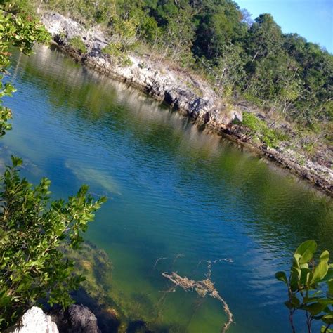 Dagny Johnson Key Largo Hammock Botanical State Park State