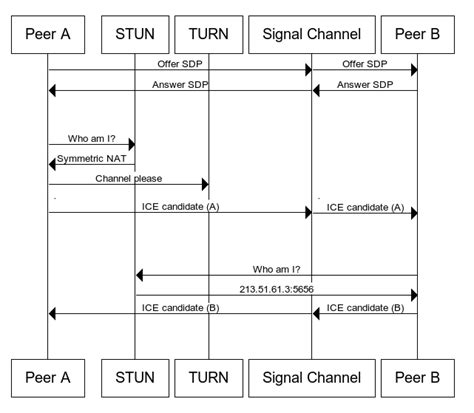 Maxkit Webrtc Api