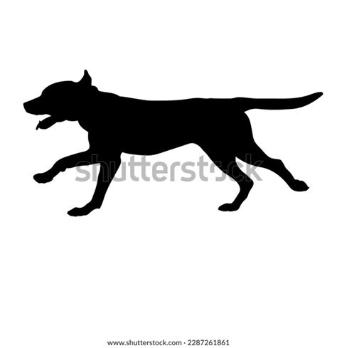 Dog Silhouette Vector Running Dog Breeds Stock Vector (Royalty Free ...