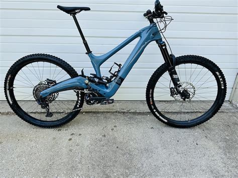 Ibis Oso For Sale