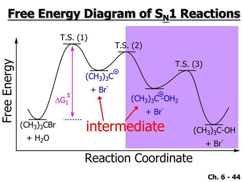 The Energy Diagram Of E1 Reactions